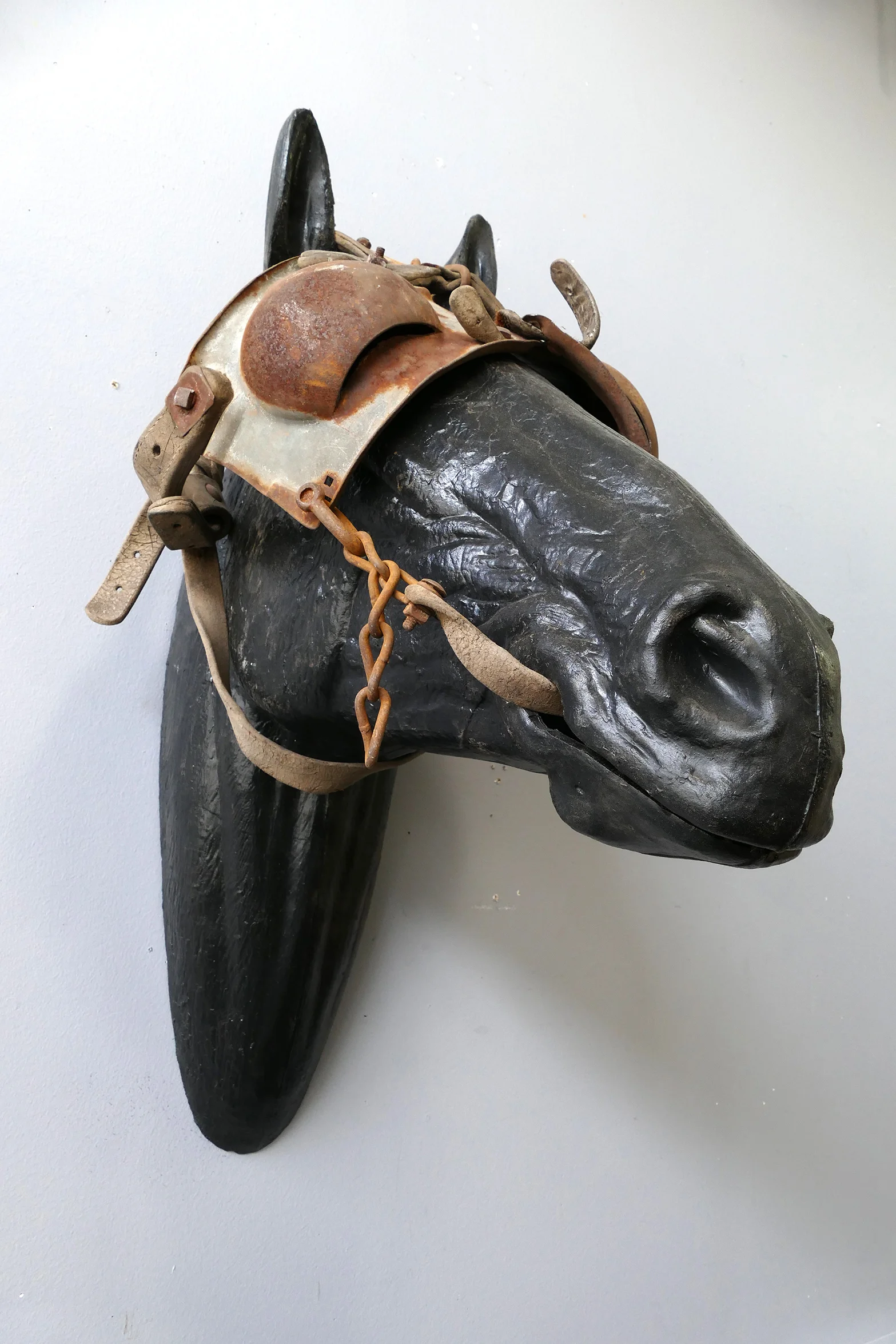 Horse with Blinders Display Mount — AGENT GALLERY CHICAGO